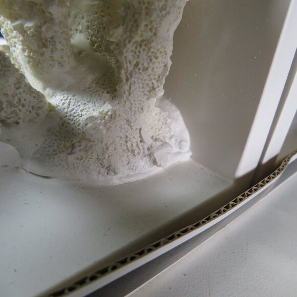 White Faux Coral Bookends from Target 2012 Nautical, lots of texture - Picture 10 of 12